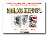 Moloss kennel japanese tosa inu, sport bulldog (OEB) breeding