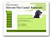 Morvern Flat coated Retriever Kennel