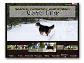 Moto Pies