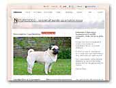 Nature Dogs - Pugs breeder