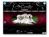 Navilis Golden retriever kennel