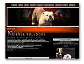 Neibull Bulldogs