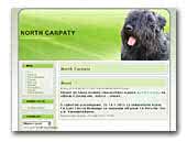 North Carpaty Bouvier des Flandres