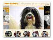 OazeHavana Bichon Havanese Kennel