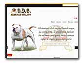 ODC American Bulldog