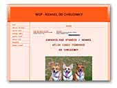 od Chrudimky kennel of welsh corgi pembroke