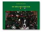 Of Dreams Forever Border Collies
