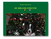 Of Dreams Forever Border Collies