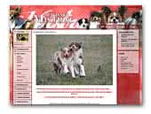 Of Wonner Mistral Kennel Australian Shepherd