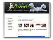 Opoka West Highland White Terrier