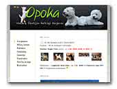 Opoka West Highland White Terrier