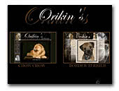 Orikin's - Border Terrier
