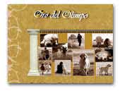 Oro del Olimpo Golden Retriever