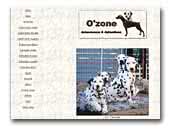 O'Zone dobermanns & dalmatians