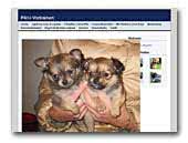 freewebs.com/paivivartiainen