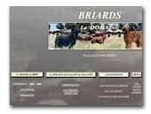 Les briards du Domaine des Peluches