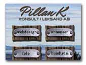 Pillan K  Dog Web design