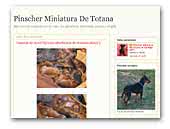 Pinscher Miniatura de Totana