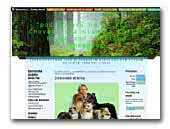 pod Borovú horu� Collie Rough, Shetland Sheepdog