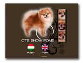 CT's Show Poms