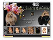 kennel Tenaris Dalmine