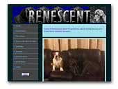 Renescent Great Danes