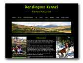 Renslingans Drentsche Patrijshond