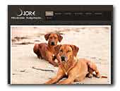 Ojore Rhodesian Ridgebacks