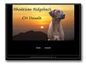 CH Douala Gana Rhodesian Ridgeback