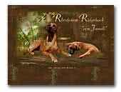 von Jamali Rhodesian Ridgeback