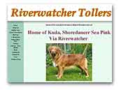 Riverwatcher Tollers