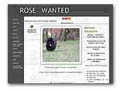 Roses' Wanted Terre Neuve