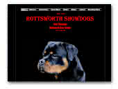 Rottsworth Showdogs