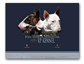 RP Kennel - Bull Terrier Miniature Kennel