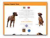 Shona Rhodesian Ridgeback