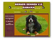 Bernese v.d Samaika