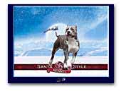 kennel Santa Style