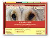 Sarah Fareh - afghan hounds kennel