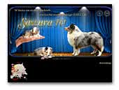 Sassura FCI - Sheltie Kennel