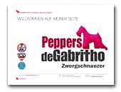 Zwergschnauzer Pepper's de Gabritho