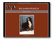 Balihara Ranch FCI Kennel - Swisss Mountain Dogs