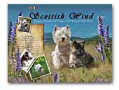 Scottish Wind FCI - Cairn Terrier Kennel