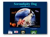 Serendipity Dog Golden Retriever