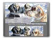 by white Angel English Setter Kennel