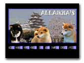 Allaikha's - Elevage de Shiba Inu