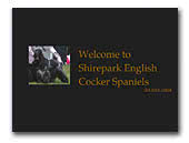 Shirepark Cocker Spaniels