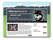 Jednicka Siberian husky