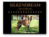 Silkendream Silken Windhounds