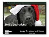 Sindia Labradors