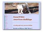 SnowWhite American bulldog